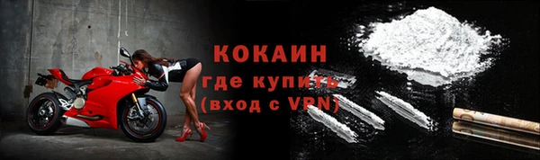 прущие грибы Волоколамск