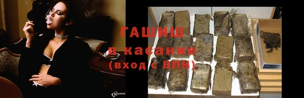 прущие грибы Волоколамск