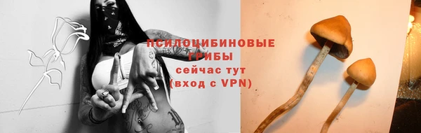 МДПВ Верхний Тагил