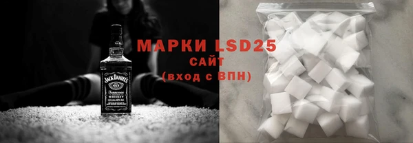прущие грибы Волоколамск