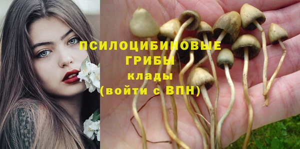 спиды Володарск