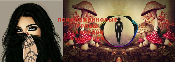спиды Володарск