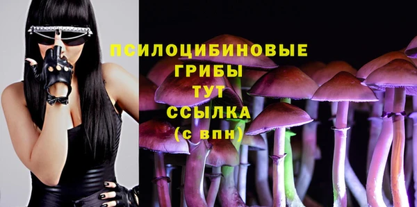 спиды Володарск