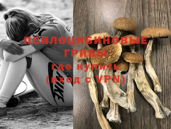 спиды Володарск