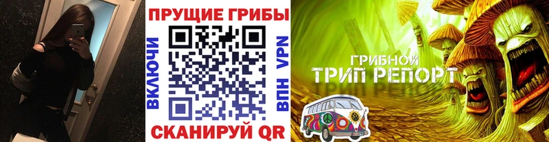 где найти   Гдов  Псилоцибиновые грибы Magic Shrooms 